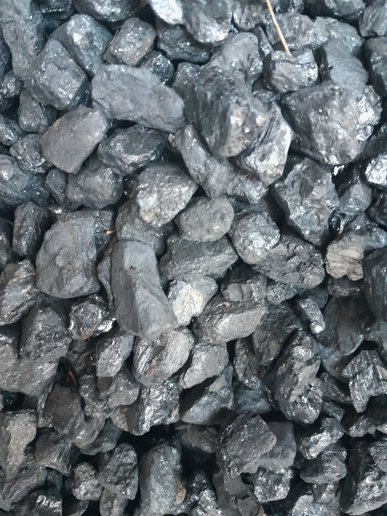 Steenkool Category