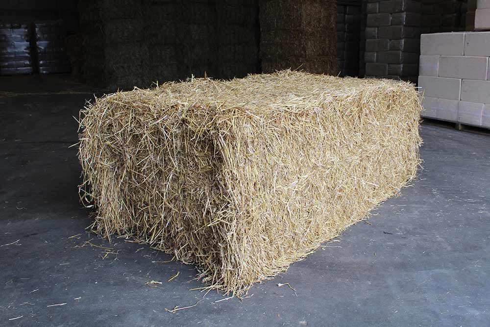 Grote balen hooi 120/70/180